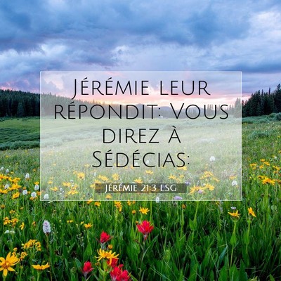 Picture 07 - Jérémie 21:3 LSG - Jérémie leur répondit: Vous direz à - Bible Verse Picture