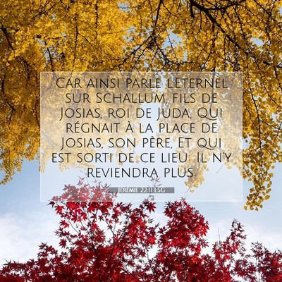 Picture 07 - Jérémie 22:11 LSG - Car ainsi parle l'Eternel sur Schallum, fils de - Bible Verse Picture