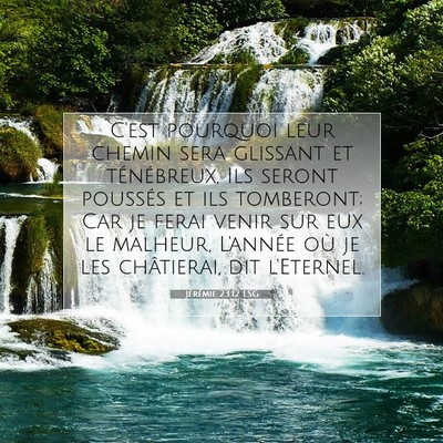 Picture 07 - Jérémie 23:12 LSG - C'est pourquoi leur chemin sera glissant et - Bible Verse Picture