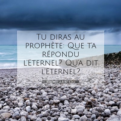 Picture 07 - Jérémie 23:37 LSG - Tu diras au prophète: Que t'a répondu - Bible Verse Picture