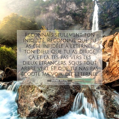Picture 07 - Jérémie 3:13 LSG - Reconnais seulement ton iniquité, Reconnais que - Bible Verse Picture