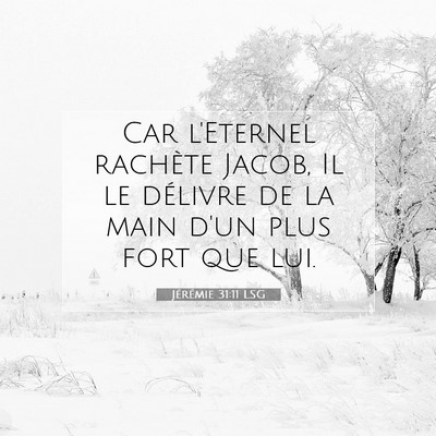 Picture 07 - Jérémie 31:11 LSG - Car l'Eternel rachète Jacob, Il le délivre de - Bible Verse Picture