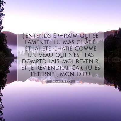 Picture 07 - Jérémie 31:18 LSG - J'entends Ephraïm qui se lamente: Tu m'as - Bible Verse Picture