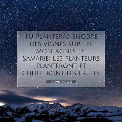 Picture 07 - Jérémie 31:5 LSG - Tu planteras encore des vignes sur les montagnes - Bible Verse Picture