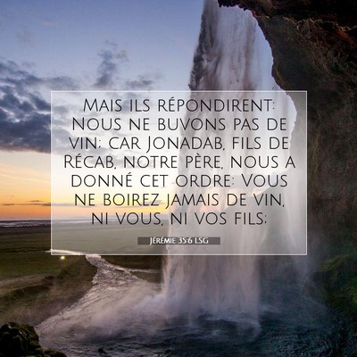 Picture 07 - Jérémie 35:6 LSG - Mais ils répondirent: Nous ne buvons pas de vin; - Bible Verse Picture