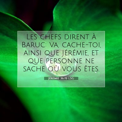 Picture 07 - Jérémie 36:19 LSG - Les chefs dirent à Baruc: Va, cache-toi, ainsi - Bible Verse Picture