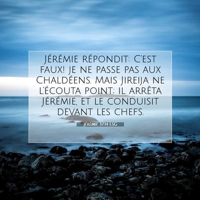 Picture 07 - Jérémie 37:14 LSG - Jérémie répondit: C'est faux! je ne passe pas - Bible Verse Picture