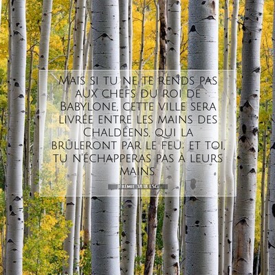 Picture 07 - Jérémie 38:18 LSG - Mais si tu ne te rends pas aux chefs du roi de - Bible Verse Picture