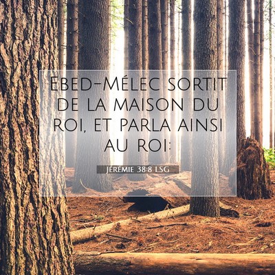 Picture 07 - Jérémie 38:8 LSG - Ebed-Mélec sortit de la maison du roi, et parla - Bible Verse Picture