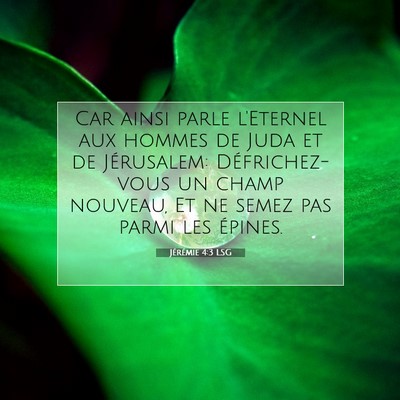 Picture 07 - Jérémie 4:3 LSG - Car ainsi parle l'Eternel aux hommes de Juda et - Bible Verse Picture