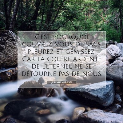 Picture 07 - Jérémie 4:8 LSG - C'est pourquoi couvrez-vous de sacs, pleurez et - Bible Verse Picture