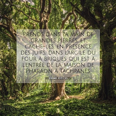 Picture 07 - Jérémie 43:9 LSG - Prends dans ta main de grandes pierres, et - Bible Verse Picture