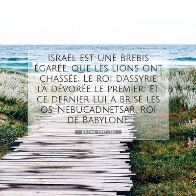Picture 07 - Jérémie 50:17 LSG - Israël est une brebis égarée, que les lions - Bible Verse Picture
