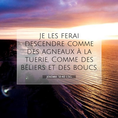Picture 07 - Jérémie 51:40 LSG - Je les ferai descendre comme des agneaux à la - Bible Verse Picture
