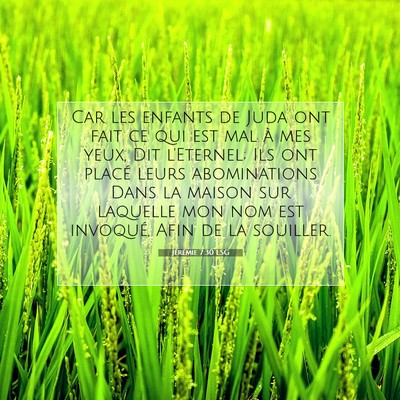 Picture 07 - Jérémie 7:30 LSG - Car les enfants de Juda ont fait ce qui est mal - Bible Verse Picture