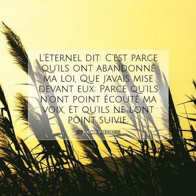 Picture 07 - Jérémie 9:13 LSG - L'Eternel dit: C'est parce qu'ils ont abandonné - Bible Verse Picture