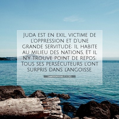 Picture 07 - Lamentations 1:3 LSG - Juda est en exil, victime de l'oppression et - Bible Verse Picture