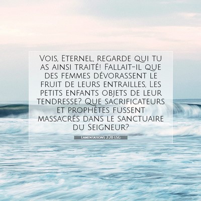 Picture 07 - Lamentations 2:20 LSG - Vois, Eternel, regarde qui tu as ainsi traité! - Bible Verse Picture