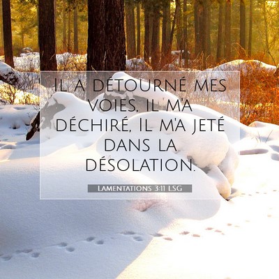 Picture 07 - Lamentations 3:11 LSG - Il a détourné mes voies, il m'a déchiré, Il - Bible Verse Picture