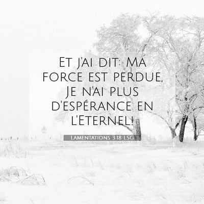Picture 07 - Lamentations 3:18 LSG - Et j'ai dit: Ma force est perdue, Je n'ai plus - Bible Verse Picture