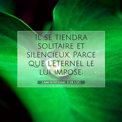 Picture 07 - Lamentations 3:28 LSG - Il se tiendra solitaire et silencieux, Parce que - Bible Verse Picture