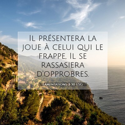 Picture 07 - Lamentations 3:30 LSG - Il présentera la joue à celui qui le frappe, Il - Bible Verse Picture