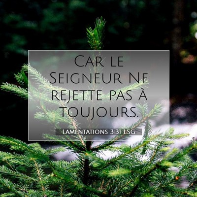 Picture 07 - Lamentations 3:31 LSG - Car le Seigneur Ne rejette pas à - Bible Verse Picture