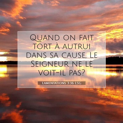 Picture 07 - Lamentations 3:36 LSG - Quand on fait tort à autrui dans sa cause, Le - Bible Verse Picture