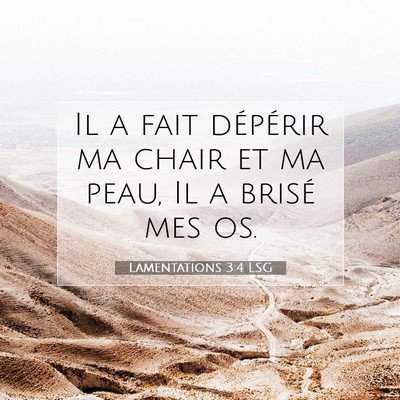 Picture 07 - Lamentations 3:4 LSG - Il a fait dépérir ma chair et ma peau, Il a - Bible Verse Picture