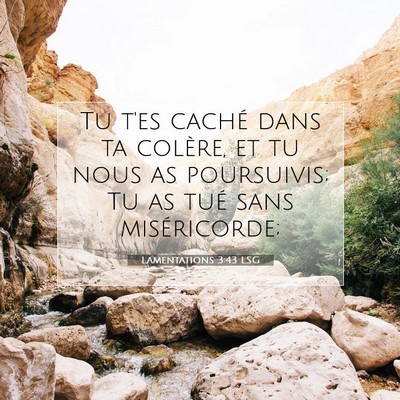 Picture 07 - Lamentations 3:43 LSG - Tu t'es caché dans ta colère, et tu nous as - Bible Verse Picture