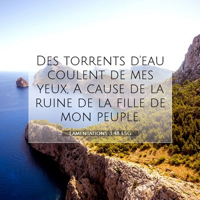 Picture 07 - Lamentations 3:48 LSG - Des torrents d'eau coulent de mes yeux, A cause - Bible Verse Picture