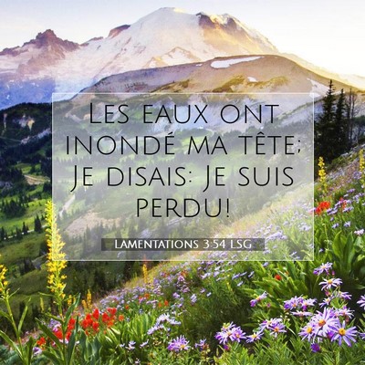 Picture 07 - Lamentations 3:54 LSG - Les eaux ont inondé ma tête; Je disais: Je suis - Bible Verse Picture