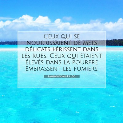 Picture 07 - Lamentations 4:5 LSG - Ceux qui se nourrissaient de mets délicats - Bible Verse Picture