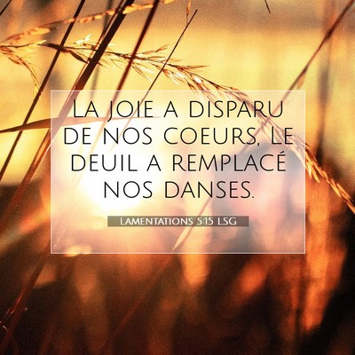 Picture 07 - Lamentations 5:15 LSG - La joie a disparu de nos coeurs, Le deuil a - Bible Verse Picture