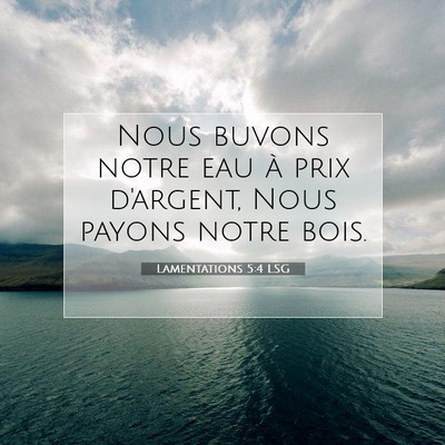 Picture 07 - Lamentations 5:4 LSG - Nous buvons notre eau à prix d'argent, Nous - Bible Verse Picture