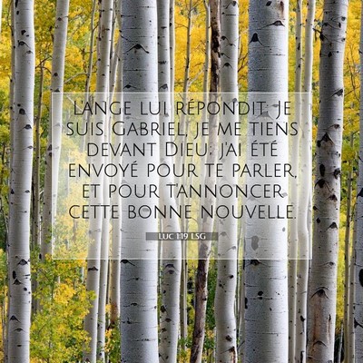 Picture 07 - Luc 1:19 LSG - L'ange lui répondit: Je suis Gabriel, je me - Bible Verse Picture