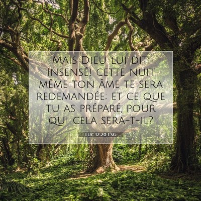 Picture 07 - Luc 12:20 LSG - Mais Dieu lui dit: Insensé! cette nuit même ton - Bible Verse Picture
