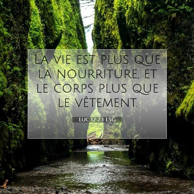 Picture 07 - Luc 12:23 LSG - La vie est plus que la nourriture, et le corps - Bible Verse Picture