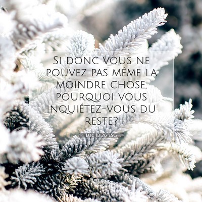 Picture 07 - Luc 12:26 LSG - Si donc vous ne pouvez pas même la moindre - Bible Verse Picture
