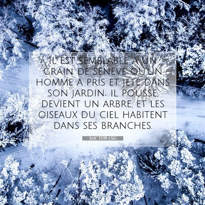 Picture 07 - Luc 13:19 LSG - Il est semblable à un grain de sénevé qu'un - Bible Verse Picture