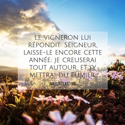 Picture 07 - Luc 13:8 LSG - Le vigneron lui répondit: Seigneur, laisse-le - Bible Verse Picture