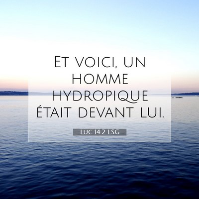 Picture 07 - Luc 14:2 LSG - Et voici, un homme hydropique était devant - Bible Verse Picture