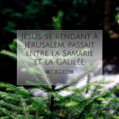 Picture 07 - Luc 17:11 LSG - Jésus, se rendant à Jérusalem, passait entre - Bible Verse Picture