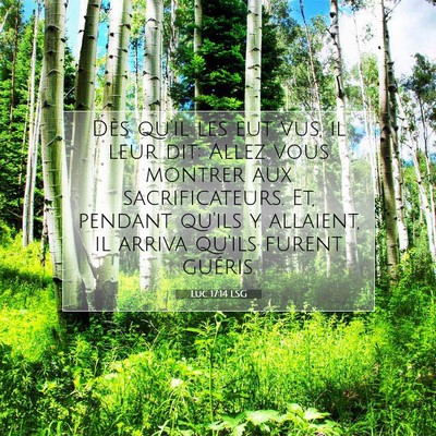 Picture 07 - Luc 17:14 LSG - Dès qu'il les eut vus, il leur dit: Allez vous - Bible Verse Picture