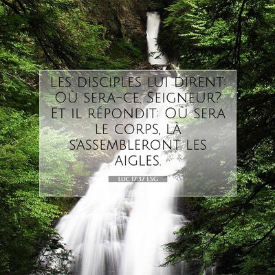 Picture 07 - Luc 17:37 LSG - Les disciples lui dirent: Où sera-ce, Seigneur? - Bible Verse Picture