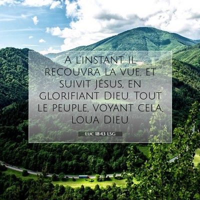 Picture 07 - Luc 18:43 LSG - A l'instant il recouvra la vue, et suivit Jésus, - Bible Verse Picture