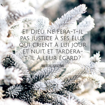 Picture 07 - Luc 18:7 LSG - Et Dieu ne fera-t-il pas justice à ses élus, - Bible Verse Picture