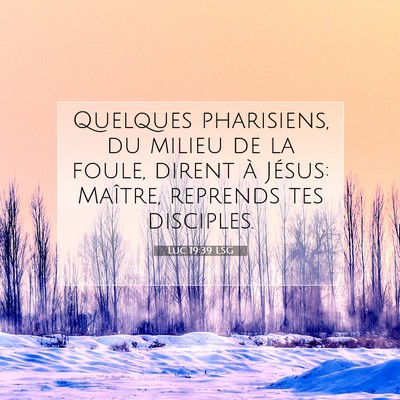 Picture 07 - Luc 19:39 LSG - Quelques pharisiens, du milieu de la foule, - Bible Verse Picture