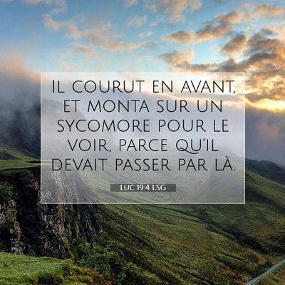 Picture 07 - Luc 19:4 LSG - Il courut en avant, et monta sur un sycomore pour - Bible Verse Picture