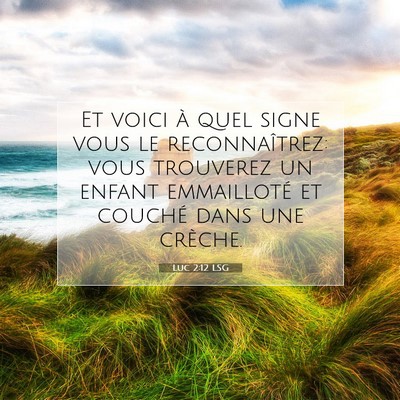 Picture 07 - Luc 2:12 LSG - Et voici à quel signe vous le reconnaîtrez: - Bible Verse Picture